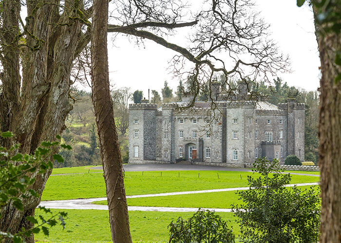 Slane Castle view from between trees