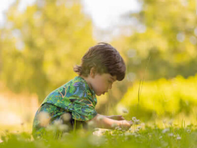 A little boy picking daisies