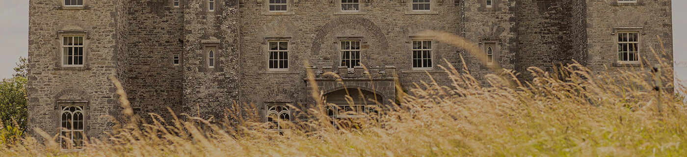 long grass with the castle in the distance